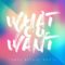 Tenth Avenue North – What You Want Tour